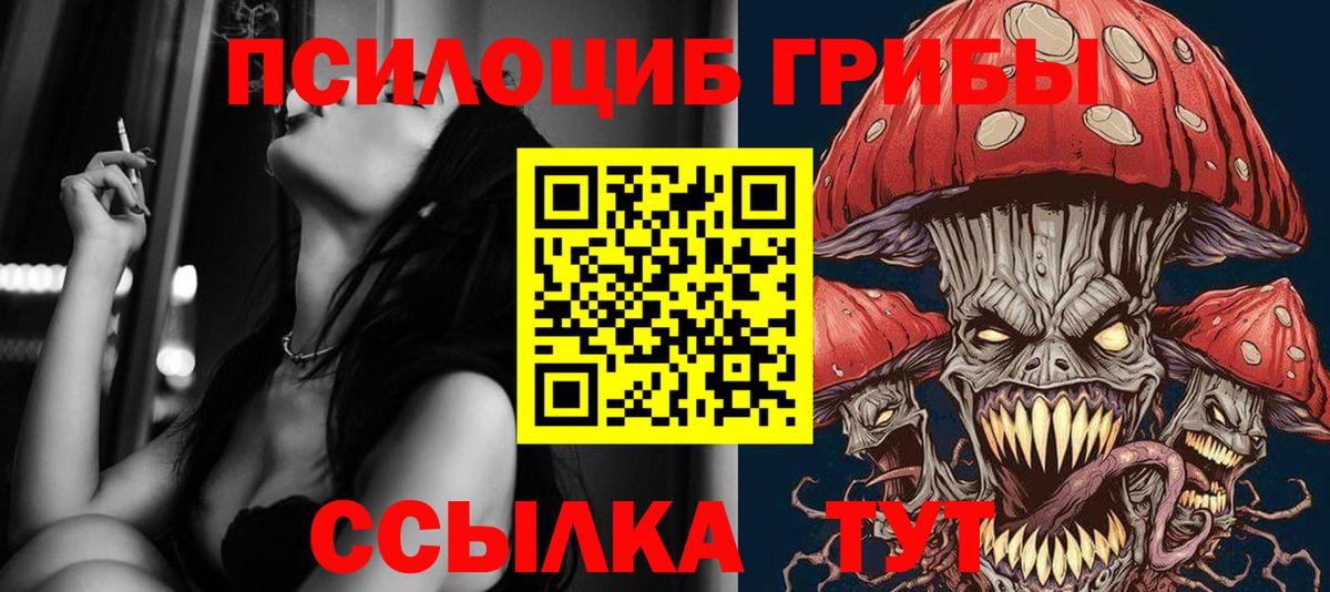 Псилоцибиновые грибы Cubensis Домодедово