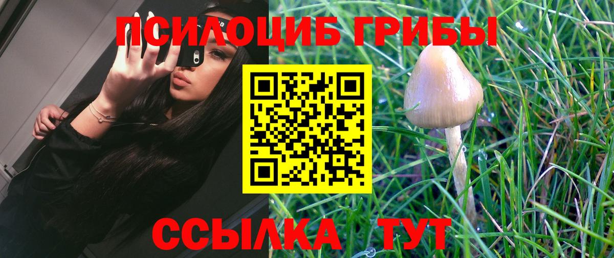Галлюциногенные грибы Psilocybe  Вход с VPN  Домодедово 